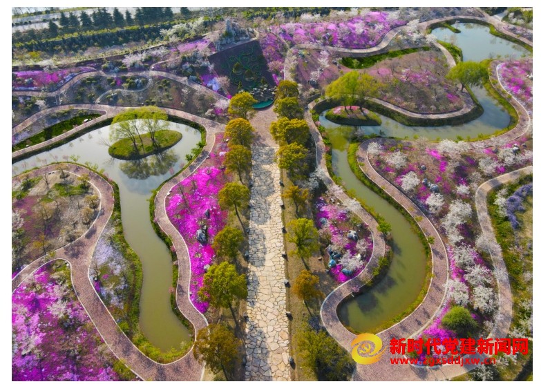 微信截图_20241102150719.png