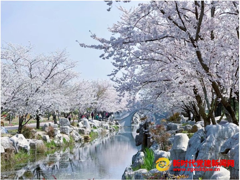 微信截图_20241102150739.png