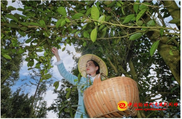 微信截图_20250730195201.png